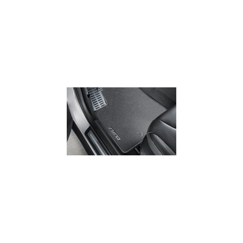 Mttest Niro EV